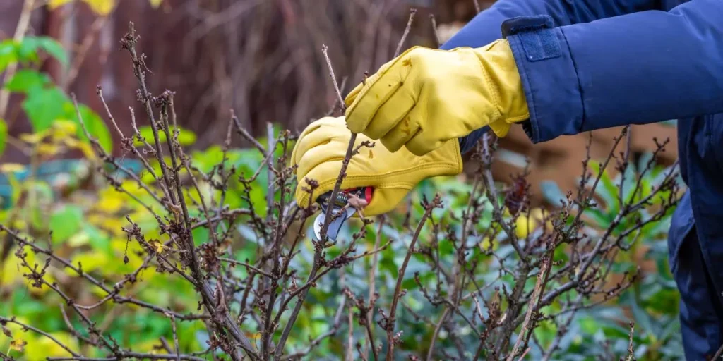 How Can You Protect Your Hands While Gardening? How Can You Protect Your Hands While Gardening?