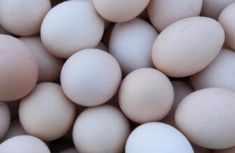 What Are the Best Protein Sources for Outdoor Cooking?